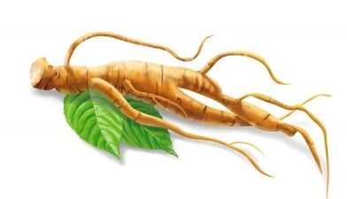 Ginseng pro zlepšení účinnosti po 50 letech