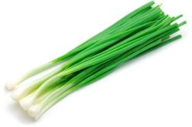 Cibule